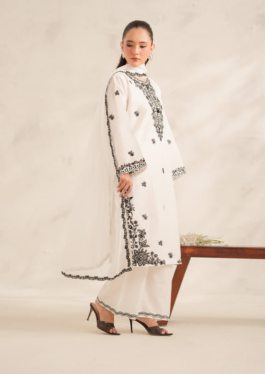 Dilkash Women's Suit | Elegant Pakistani Wear Pl