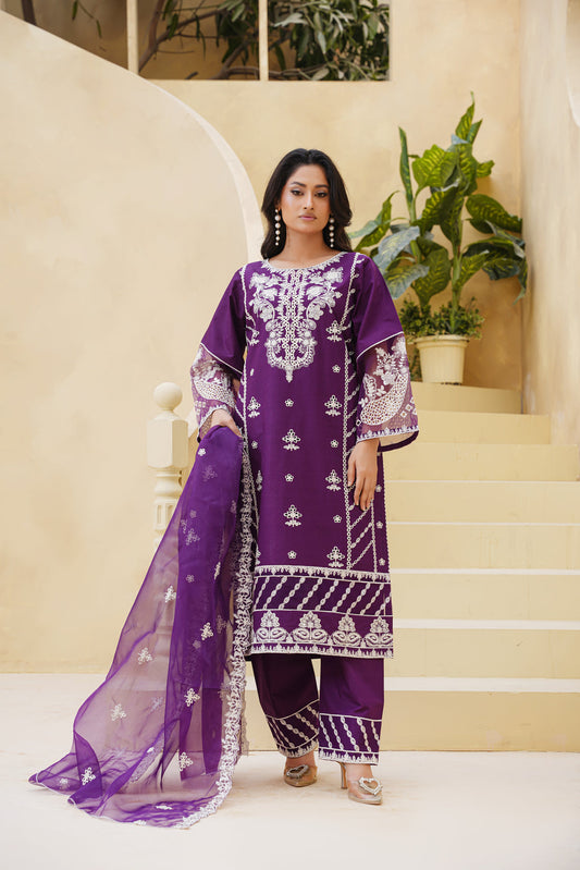 Suzy 3-Piece Salwar & Kameez – Stylish Women’s Outfit  P