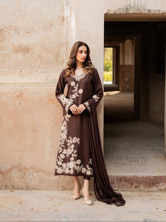 Brownish Embroidered 3Pc Suit – Shop Now | Picnpay